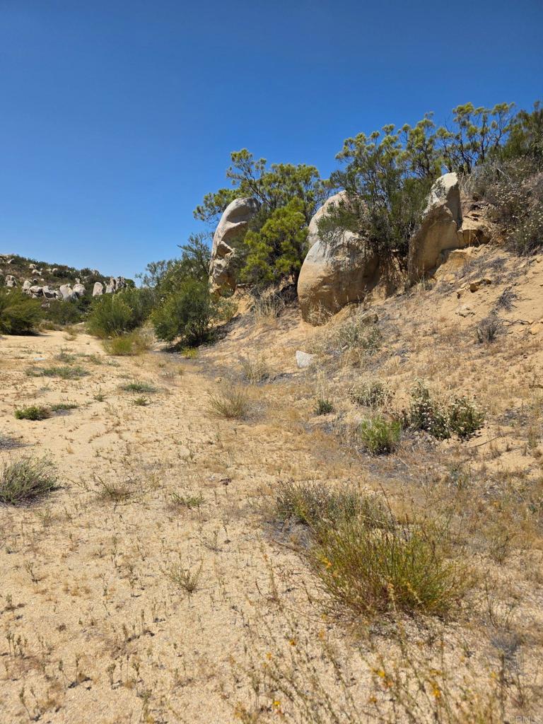 789 Crazy Horse Canyon Drive Property Photo 6