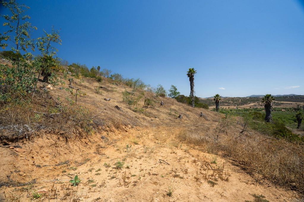 3503 Monserate Hill Road Property Photo 17