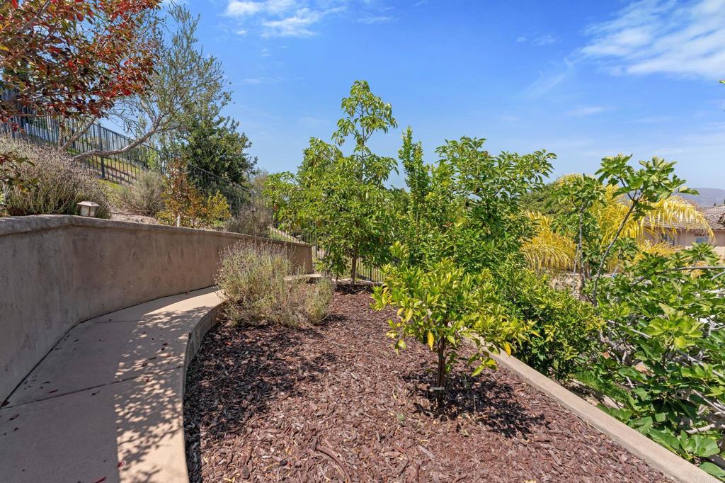 2415 Wishing Star Way Property Photo 52