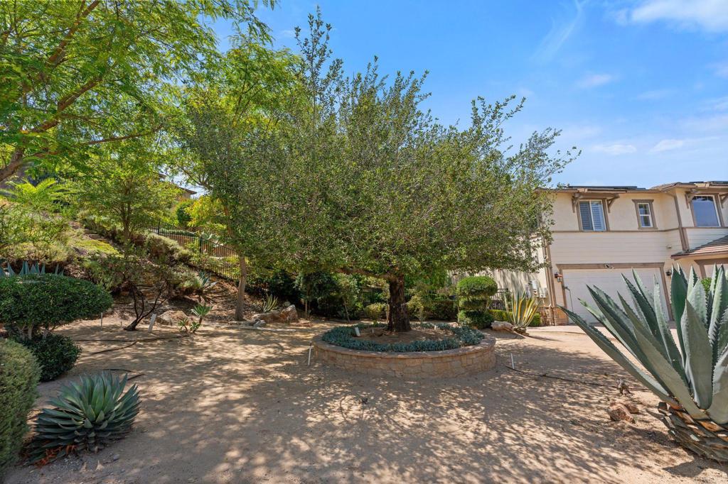 2415 Wishing Star Way Property Photo 58