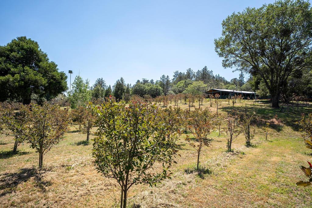 1315 Farmer Rd Property Photo 55