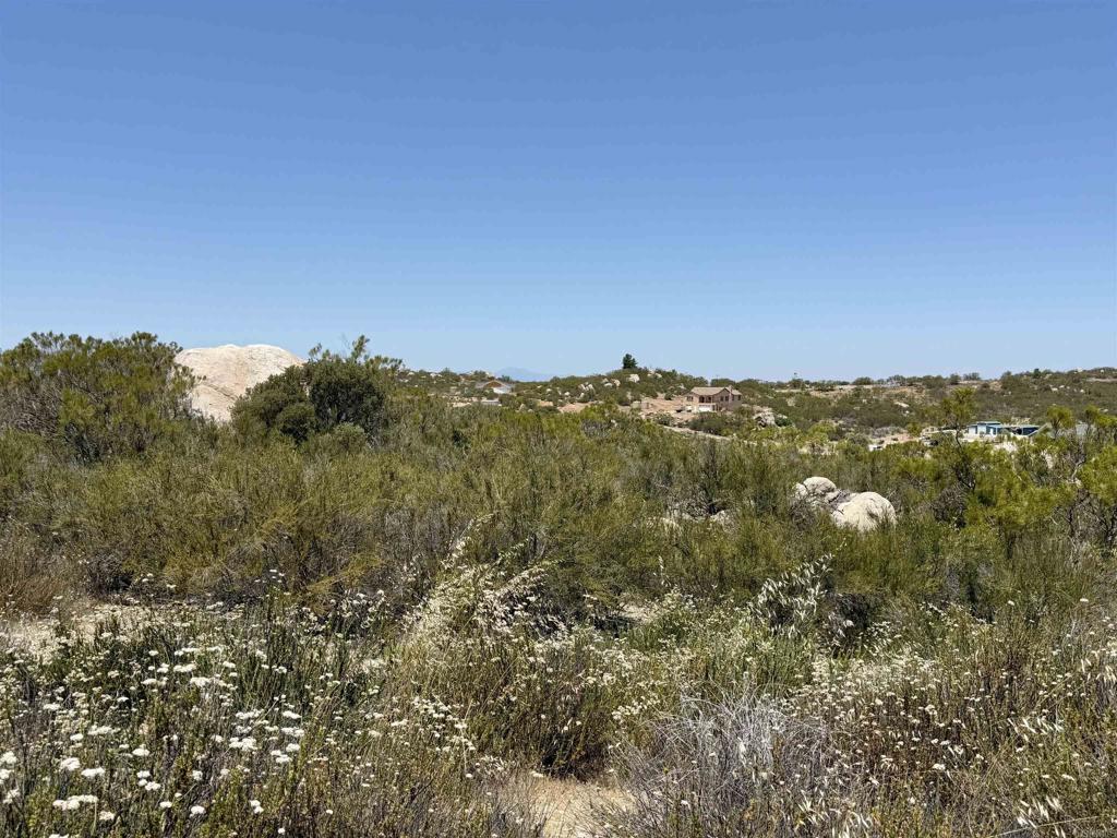 558 Derby Way Property Photo 1