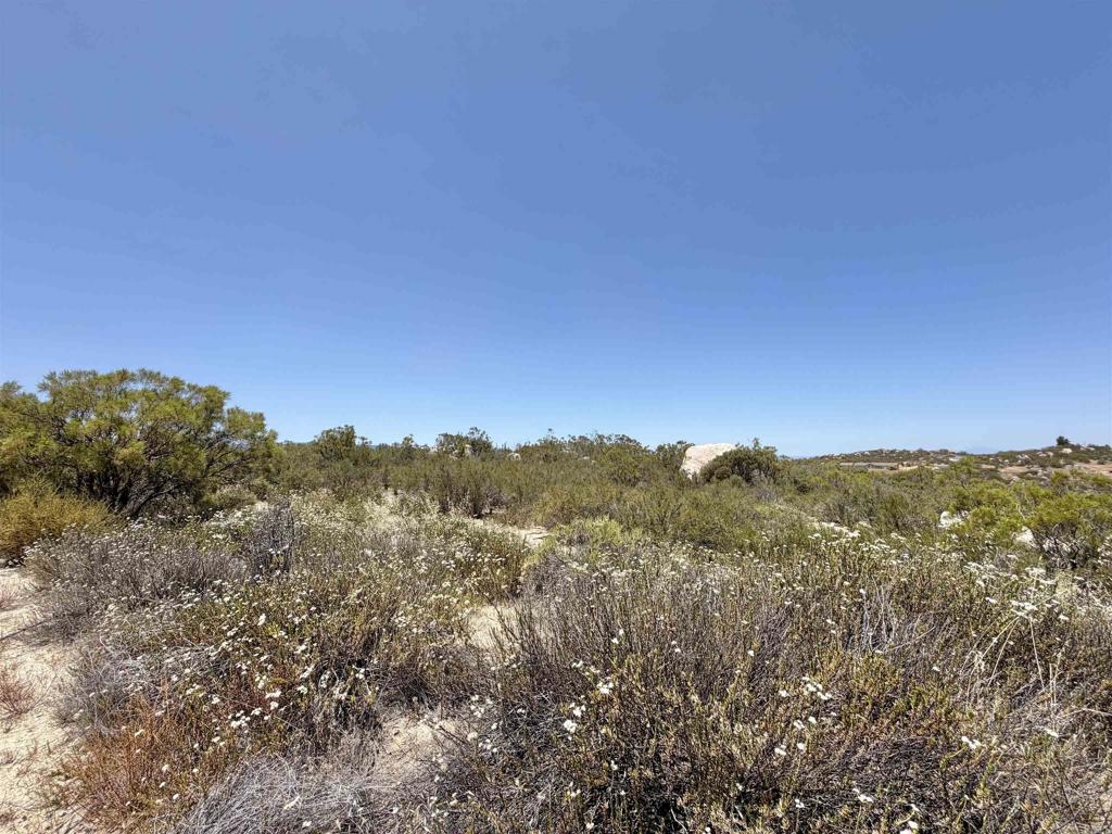 558 Derby Way Property Photo 5