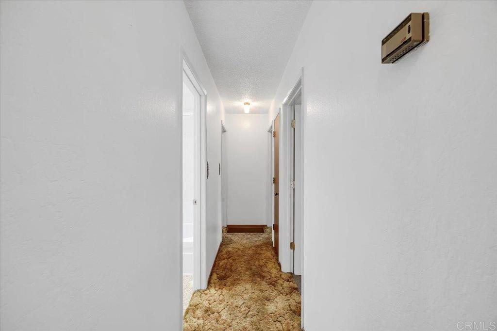 10559 Jim Brady Road Property Photo 14