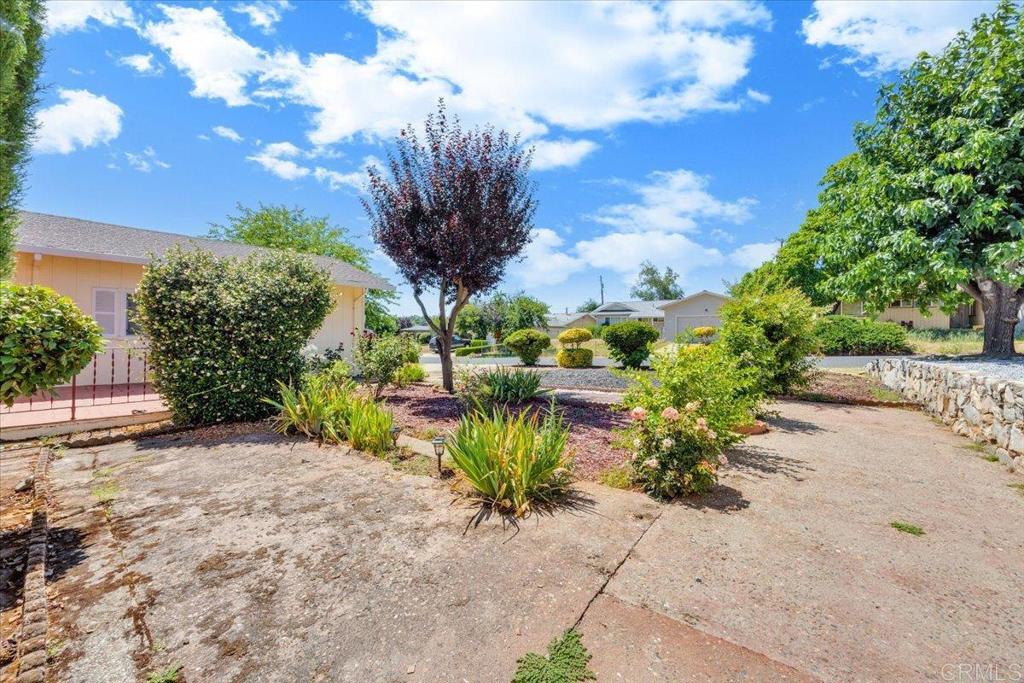 10559 Jim Brady Road Property Photo 40