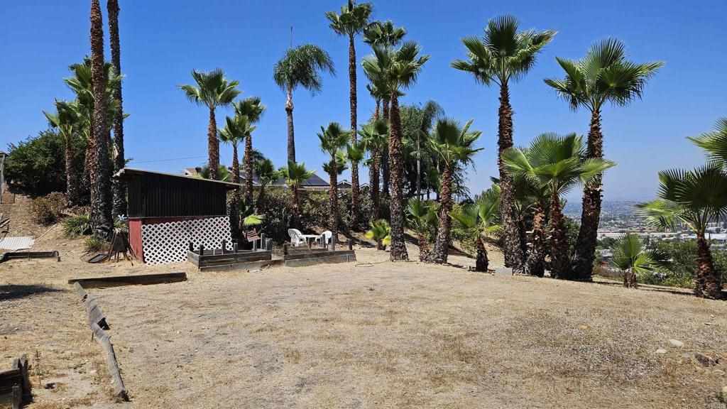 1235 El Mio Drive Property Photo 39