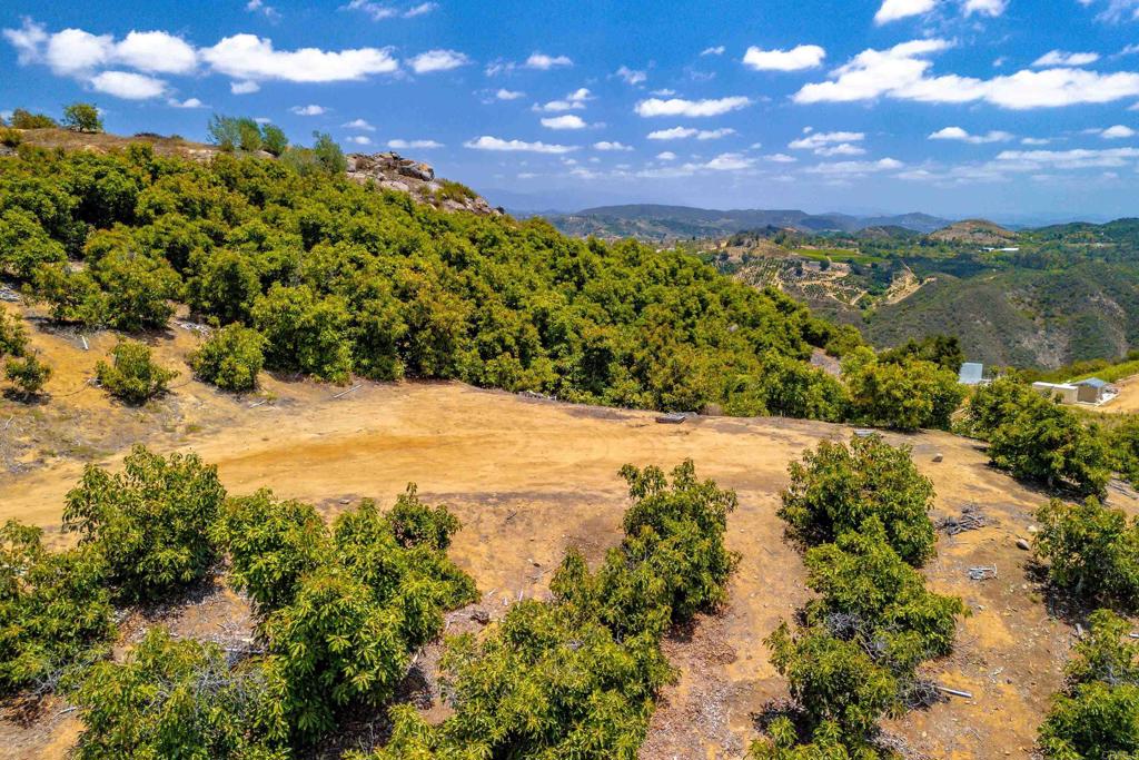 1 Los Gatos Road Property Photo 3