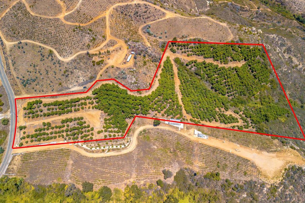 1 Los Gatos Road Property Photo 5