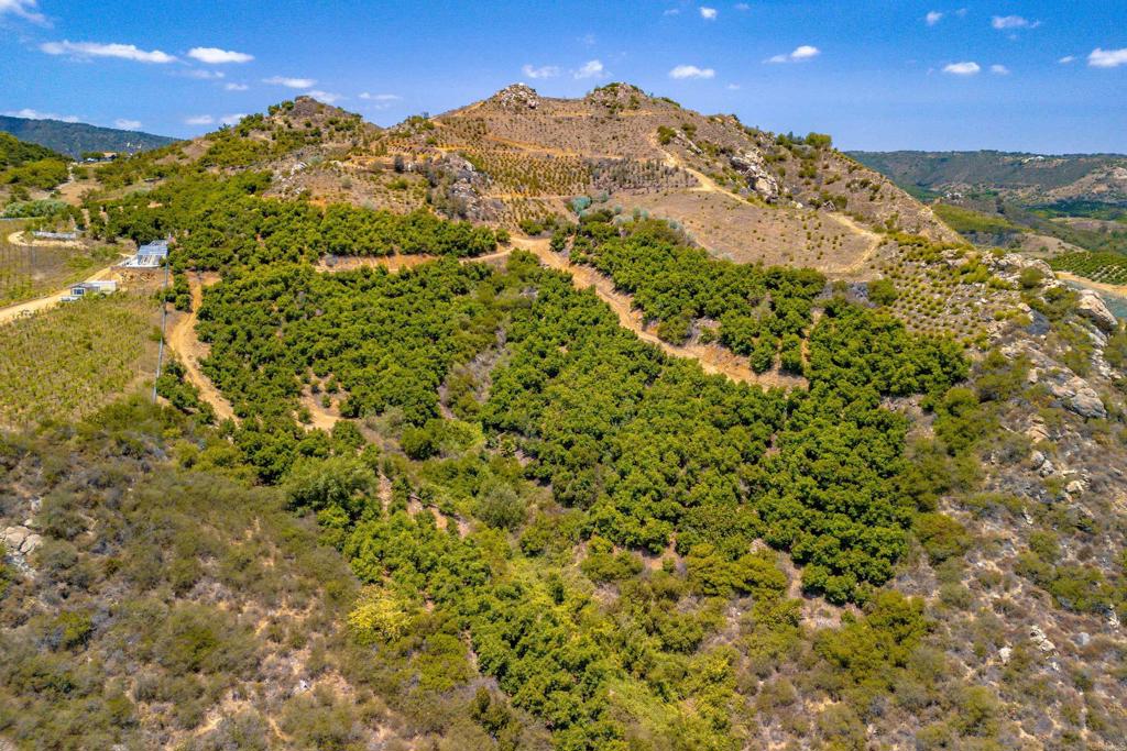 1 Los Gatos Road Property Photo 6