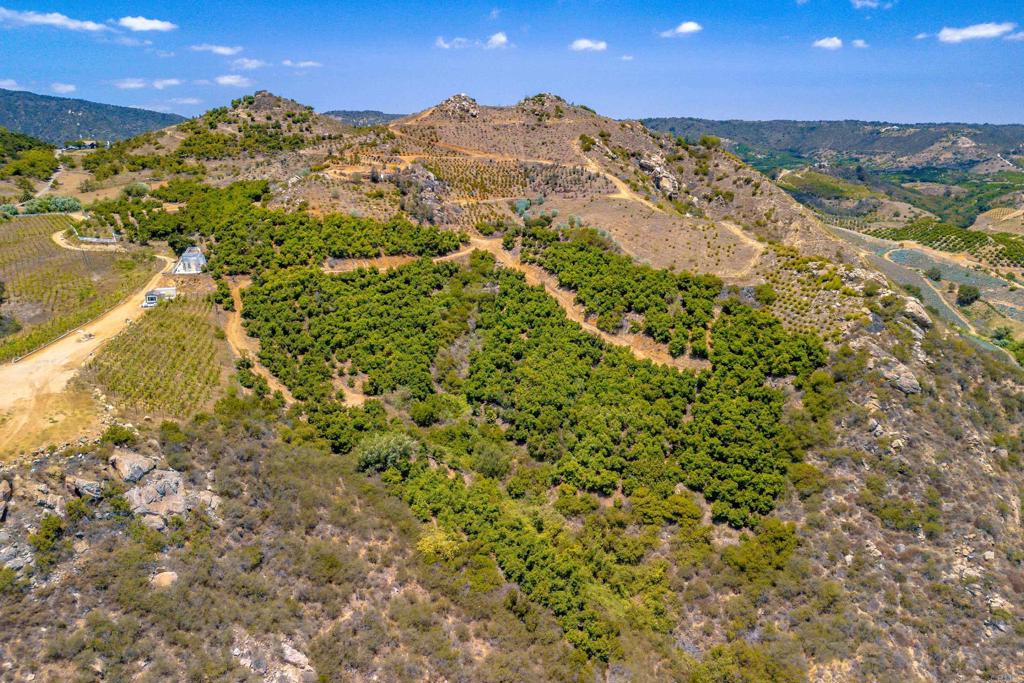 1 Los Gatos Road Property Photo 17