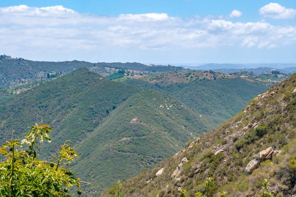 1 Los Gatos Road Property Photo 23