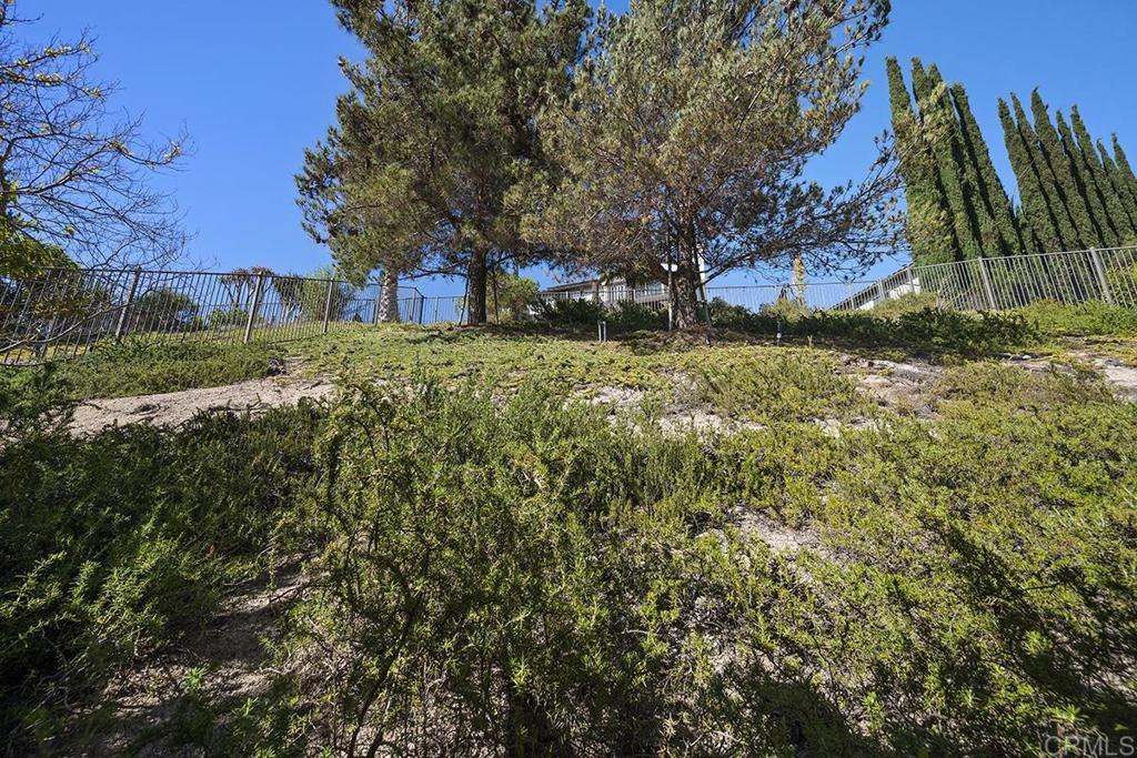 1433 Old Janal Ranch Rd Property Photo 43