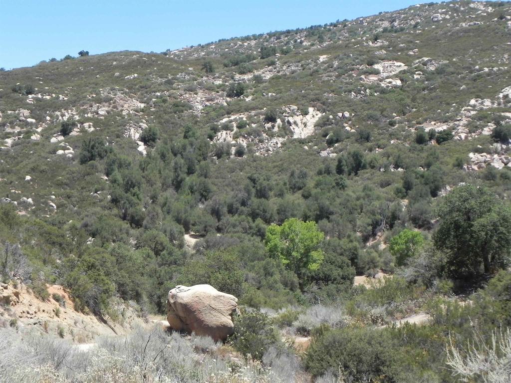 9779 Deer Valley Trail Property Photo 2