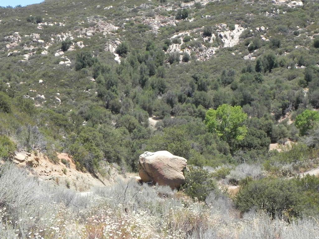 9779 Deer Valley Trail Property Photo 3