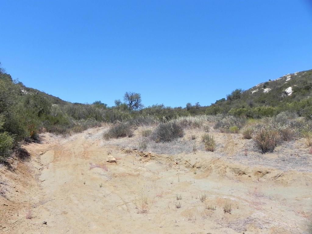 9779 Deer Valley Trail Property Photo 4