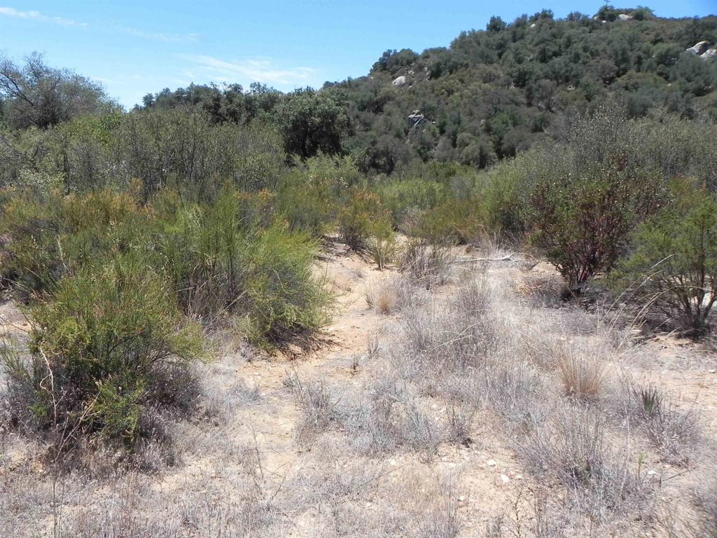 9779 Deer Valley Trail Property Photo 5
