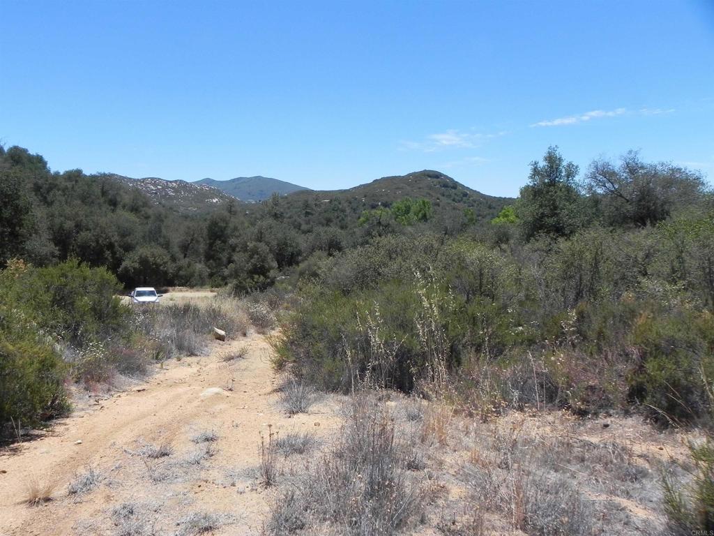 9779 Deer Valley Trail Property Photo 6