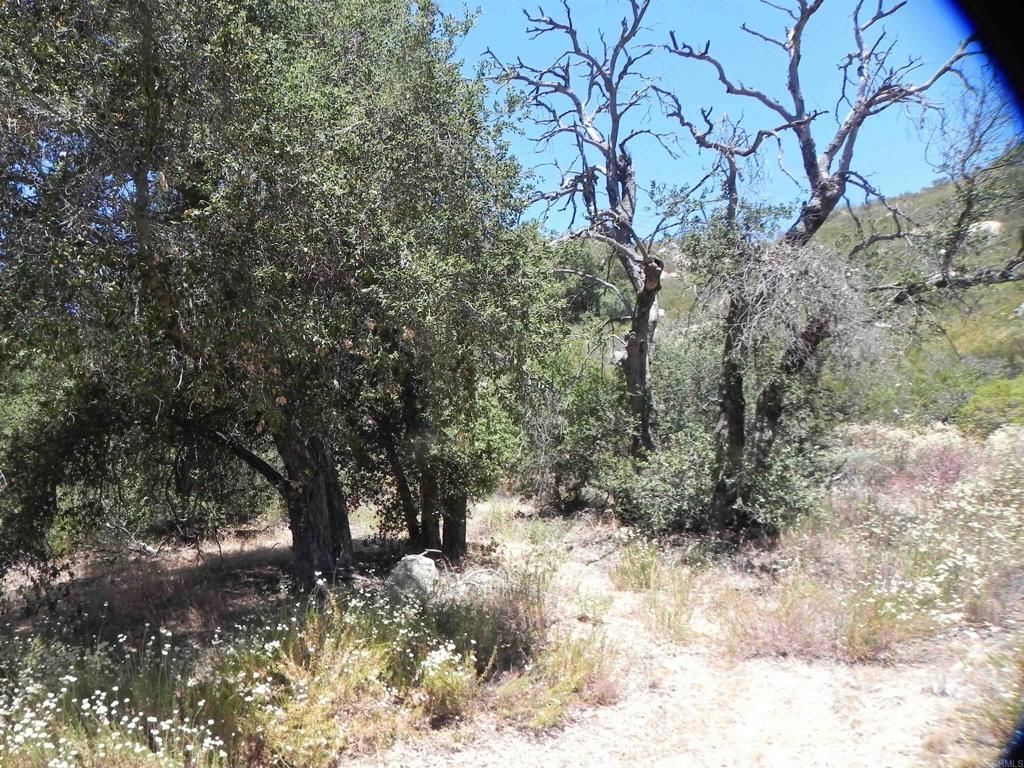 9779 Deer Valley Trail Property Photo 7