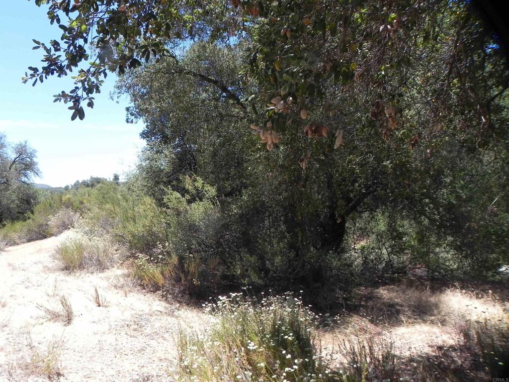 9779 Deer Valley Trail Property Photo 8