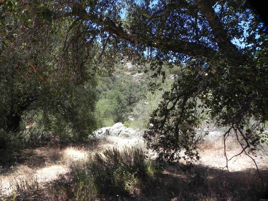 9779 Deer Valley Trail Property Photo 9