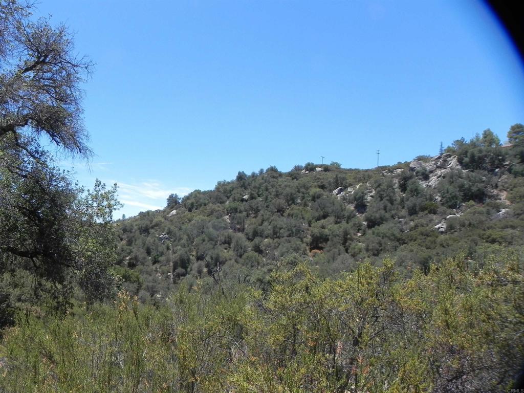 9779 Deer Valley Trail Property Photo 10