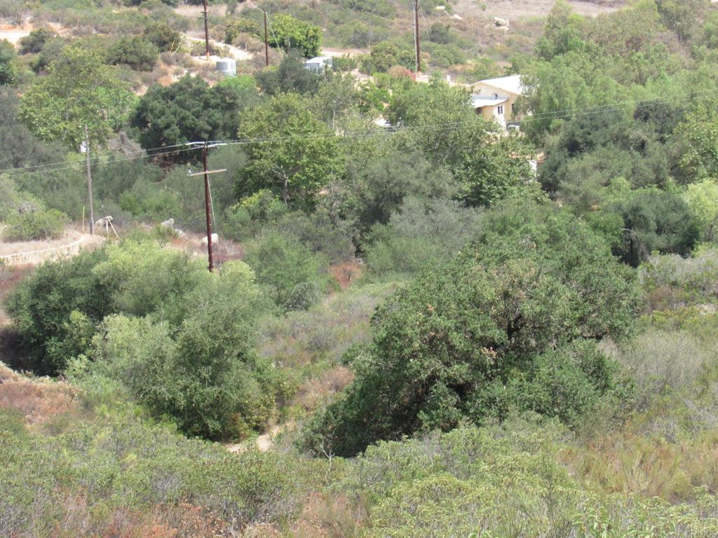 15.93 Acres Hwy 94 Property Photo 13