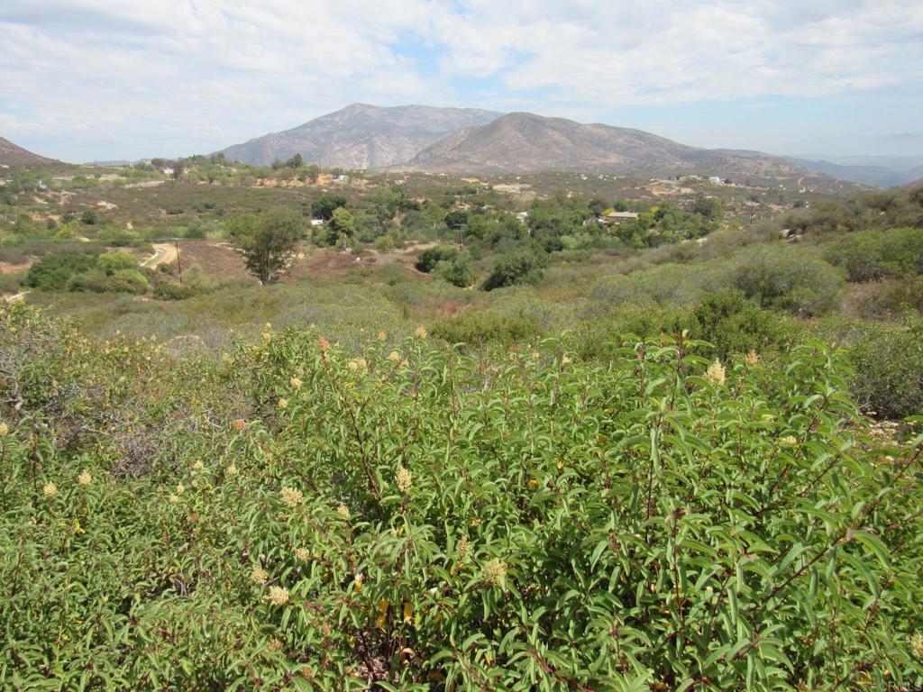 15.93 Acres Hwy 94 Property Photo 15