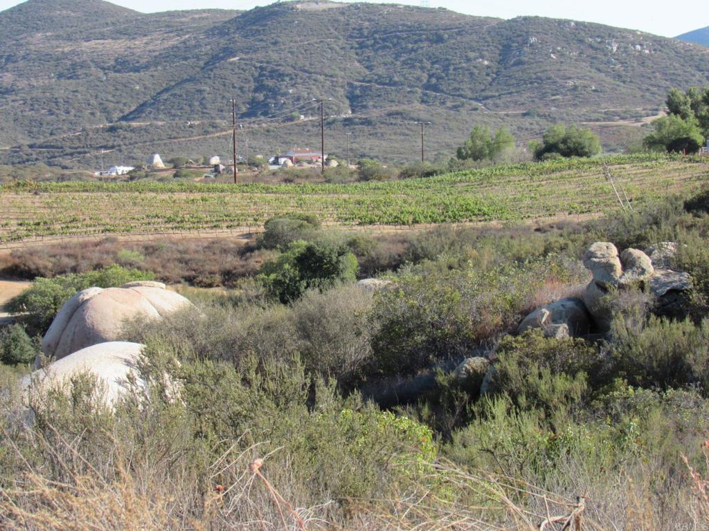 15.93 Acres Hwy 94 Property Photo 18