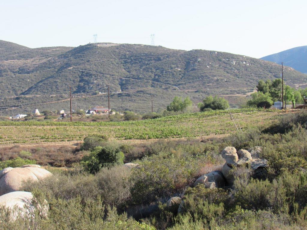 15.93 Acres Hwy 94 Property Photo 20