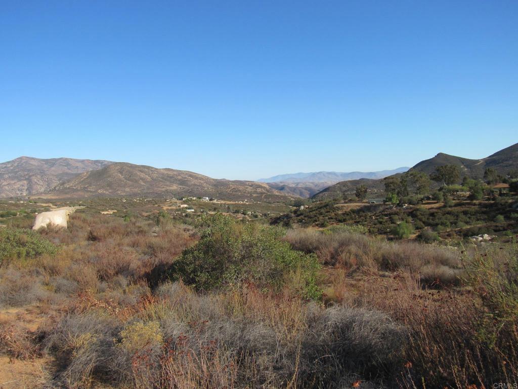 15.93 Acres Hwy 94 Property Photo 21