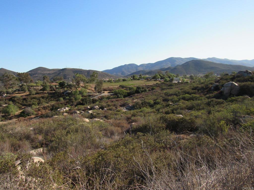 15.93 Acres Hwy 94 Property Photo 23
