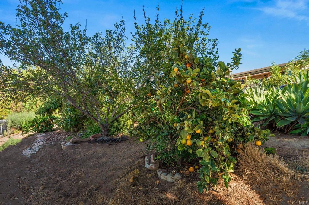 510 Burgasia Path Property Photo 42