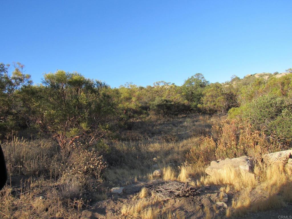 36.34 Acres Leoney Court Property Photo 2