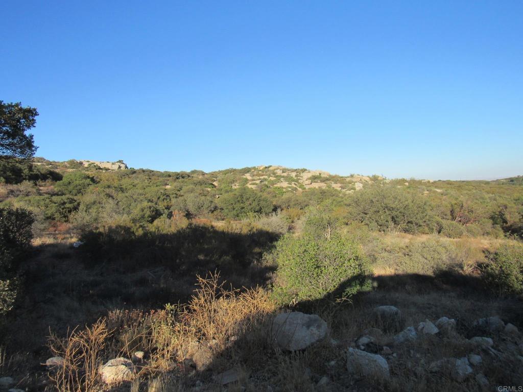 36.34 Acres Leoney Court Property Photo 3