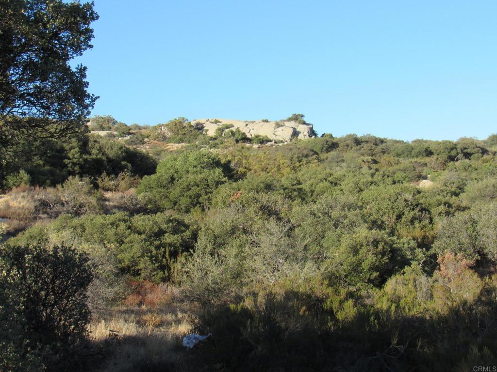 36.34 Acres Leoney Court Property Photo 4