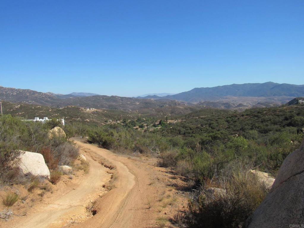 36.34 Acres Leoney Court Property Photo 6