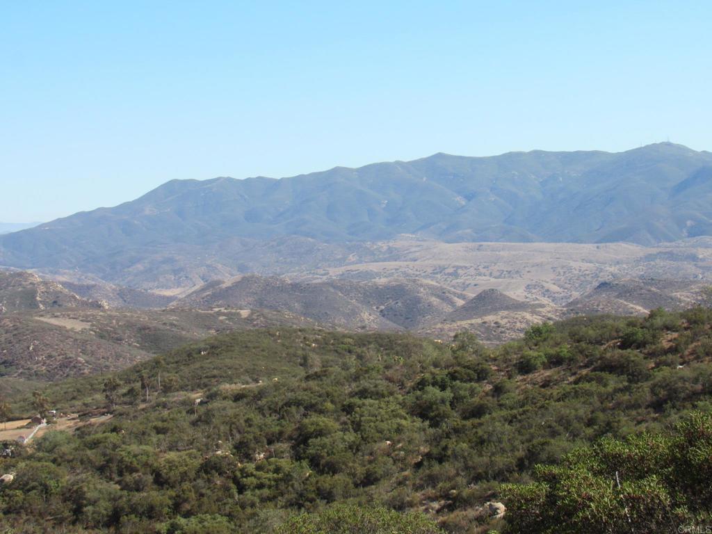36.34 Acres Leoney Court Property Photo 7