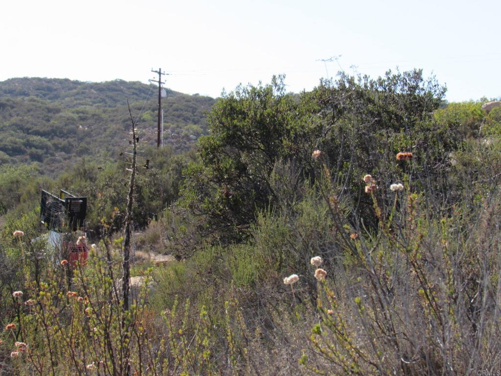 36.34 Acres Leoney Court Property Photo 11