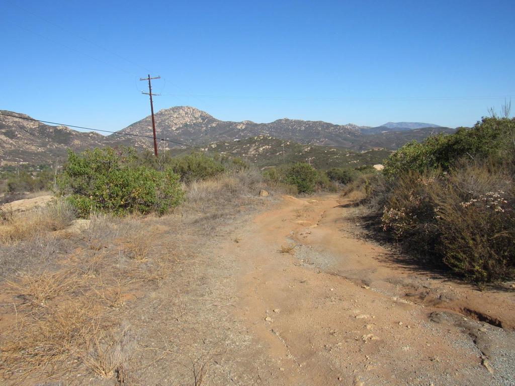 36.34 Acres Leoney Court Property Photo 12