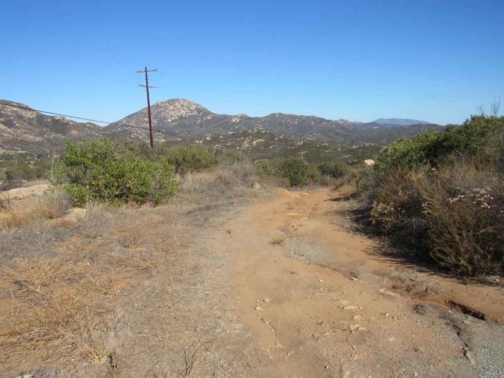 36.34 Acres Leoney Court Property Photo 13