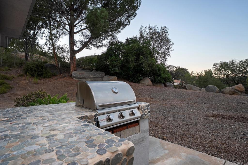 3157 Via Viejas Oeste Property Photo 40