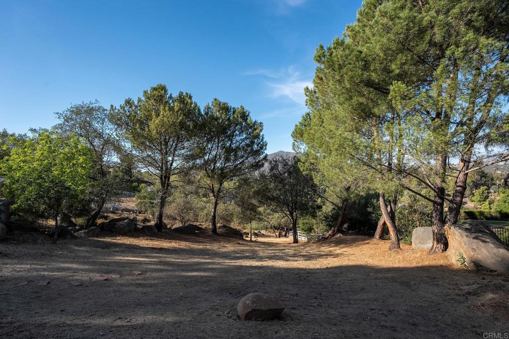 3157 Via Viejas Oeste Property Photo 54