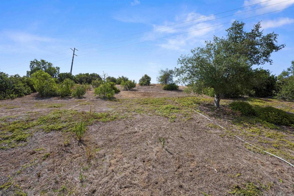 5345 Topsail Drive Property Photo 38