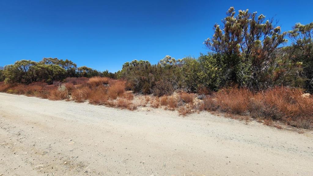 0 Silver Fox Road Property Photo 3