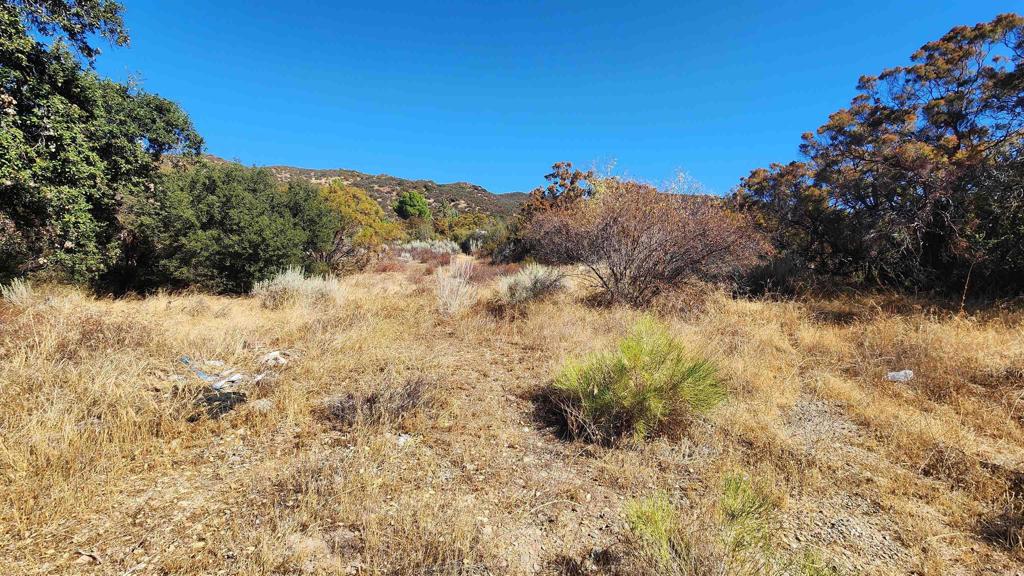 0 Highway 79 Property Photo 1
