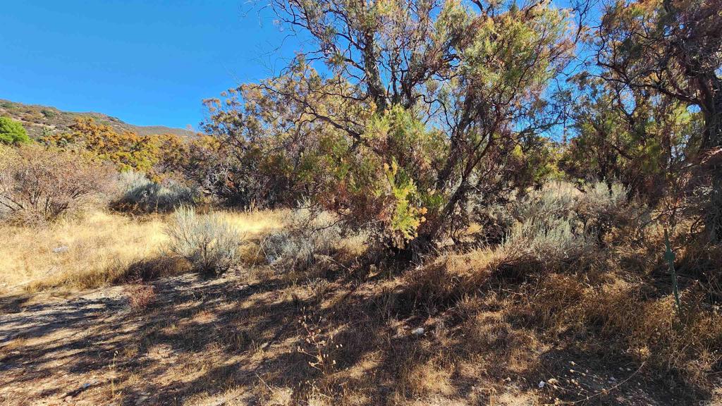 0 Highway 79 Property Photo 2