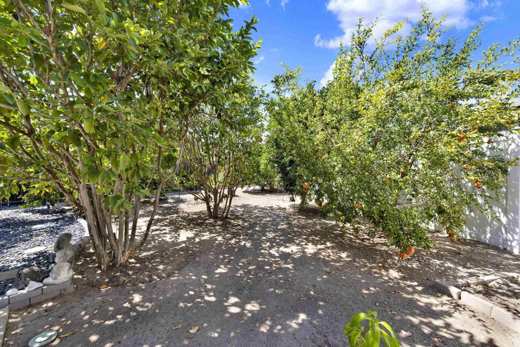 10510 Share Court Property Photo 28