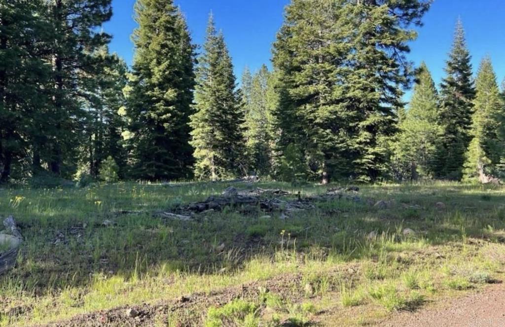 123 Glacier Dr Glacier Dr Alturas, Ca 96101 Road Property Photo 6