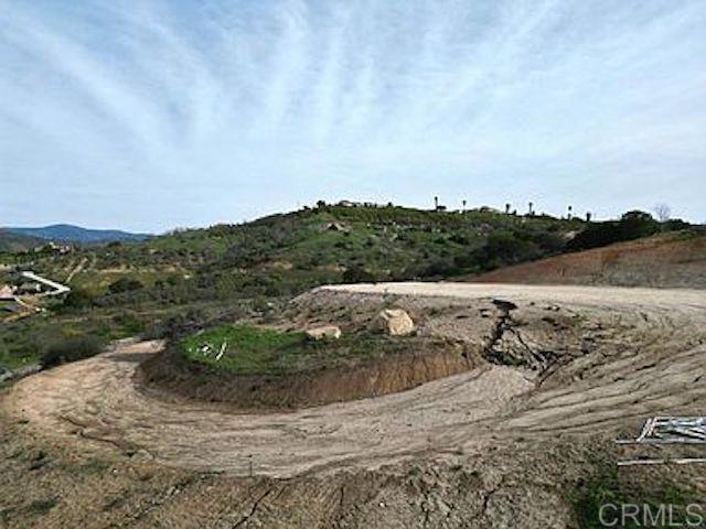 31844 Patrick Way Property Photo 2
