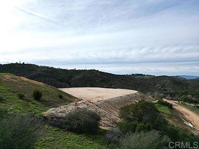 31844 Patrick Way Property Photo 5